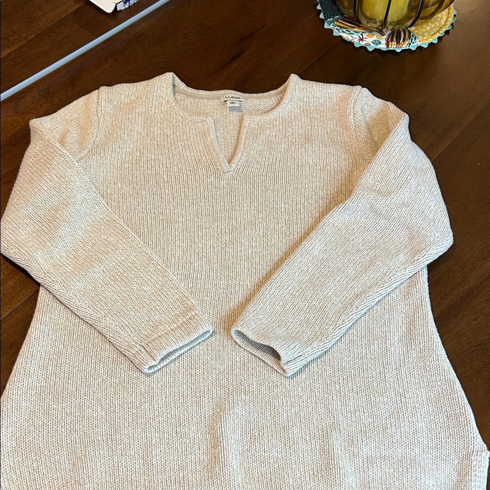 L.L. Bean Cream V-Neck Sweater